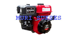 Gasoline Engine TASCO GT 230X