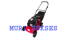 Lawn Mowers TASCO TLM 18 E