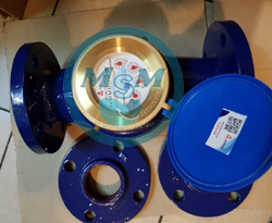 Water Meter AMICO 2.5 Inch LXSG-65E