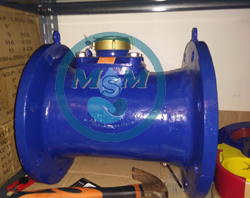 Water Meter BR 10 Inch