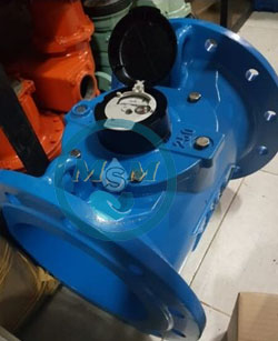 Water Meter ITRON 10 Inch