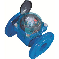 Water Meter Powogaz AXIS MP-01 DN50