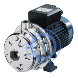 Ebara 2CDX Stainless Stee Centrifugal Pumps