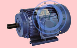 GIN Pump Y series Three-phase induction motor