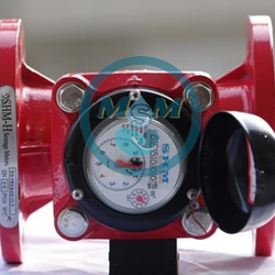 Flow Meter SHM 6 Inch Hot Water