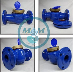 SHM Vane Flange Cast Iron Flow Meters DN 50