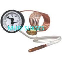 Thermomanometer WIKA Model MFT