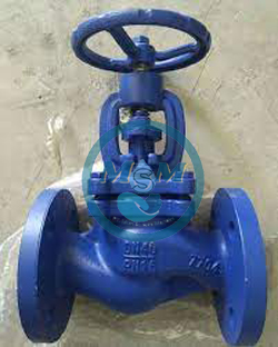 Globe Valve Onda PN 16 DN 50