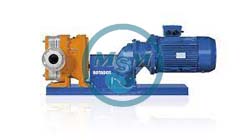 Pompa Lobus Putar ROTADOS